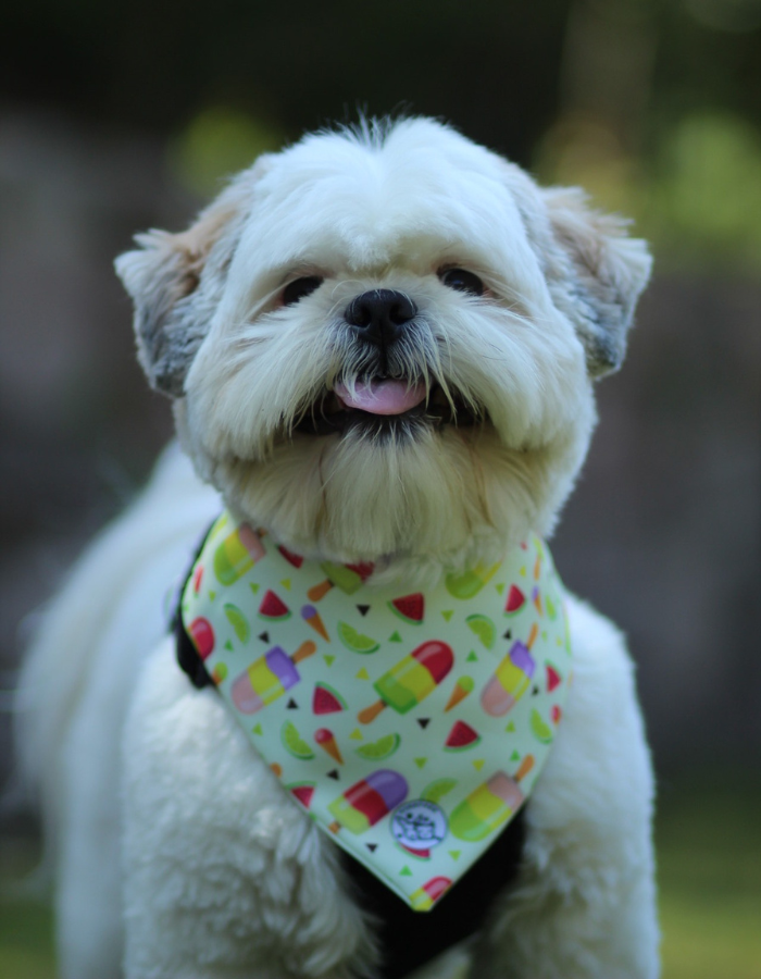 BANDANAS
