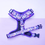 Arnés Ajustable | Butterfly