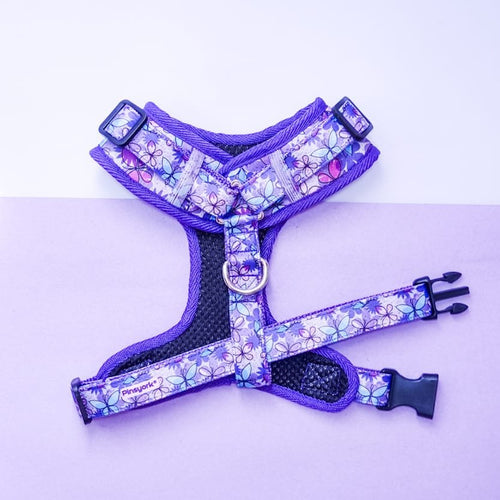 Arnés Ajustable | Butterfly