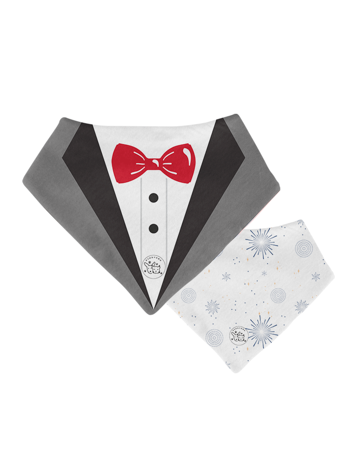 Bandana para Perro | Año nuevo