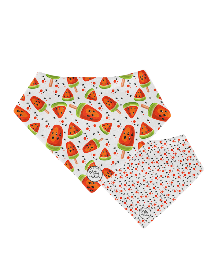 Bandana para Perro | Sandia