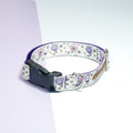 Collar | Balloons