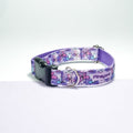 Collar | Butterfly