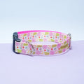 Collar | Summer