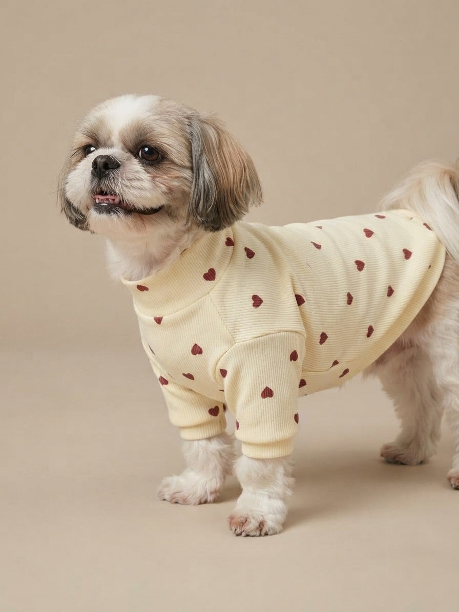 Cozy Sweater Instinto | Marfil