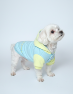 Polerón Blessing | Fresh Joy