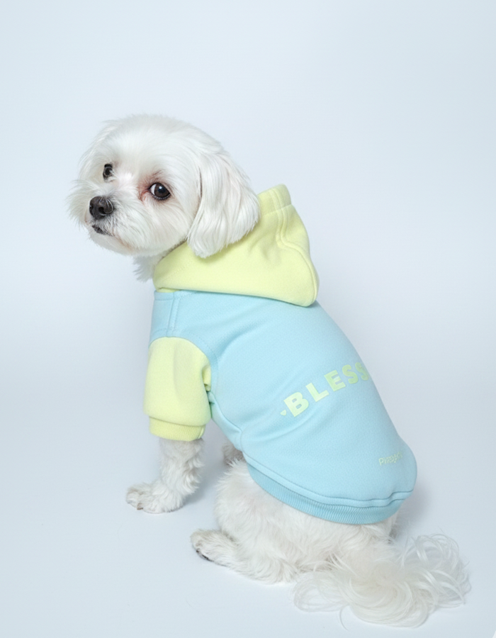 Polerón Blessing | Fresh Joy