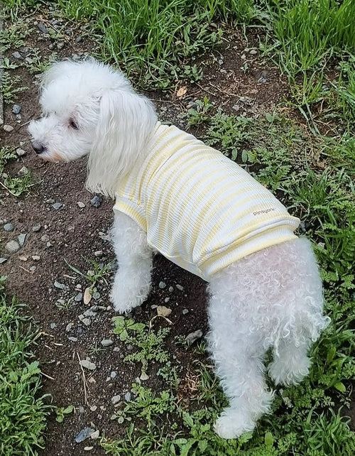 POLERA