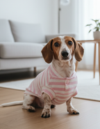 Polera | Paws Baby Rosada