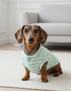 Polera | Paws Baby Verde