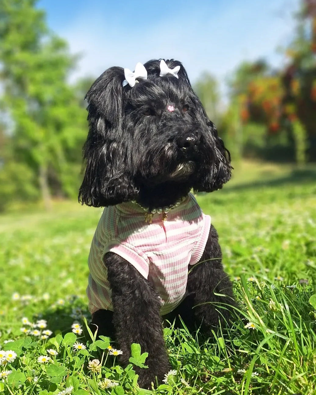 Polera | Paws Baby Rosada.