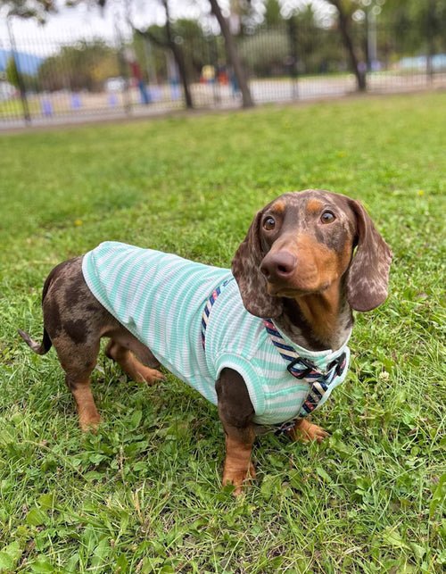 POLERA