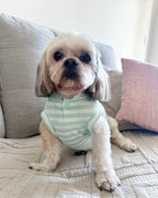 Polera | Paws Baby Verde
