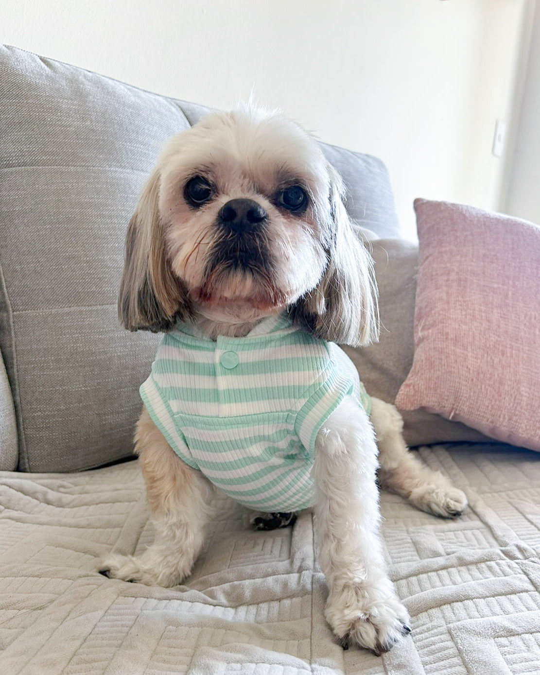 Polera | Paws Baby Verde