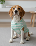 Polera | Paws Baby Verde