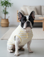 Polera | Paws Baby Amarilla