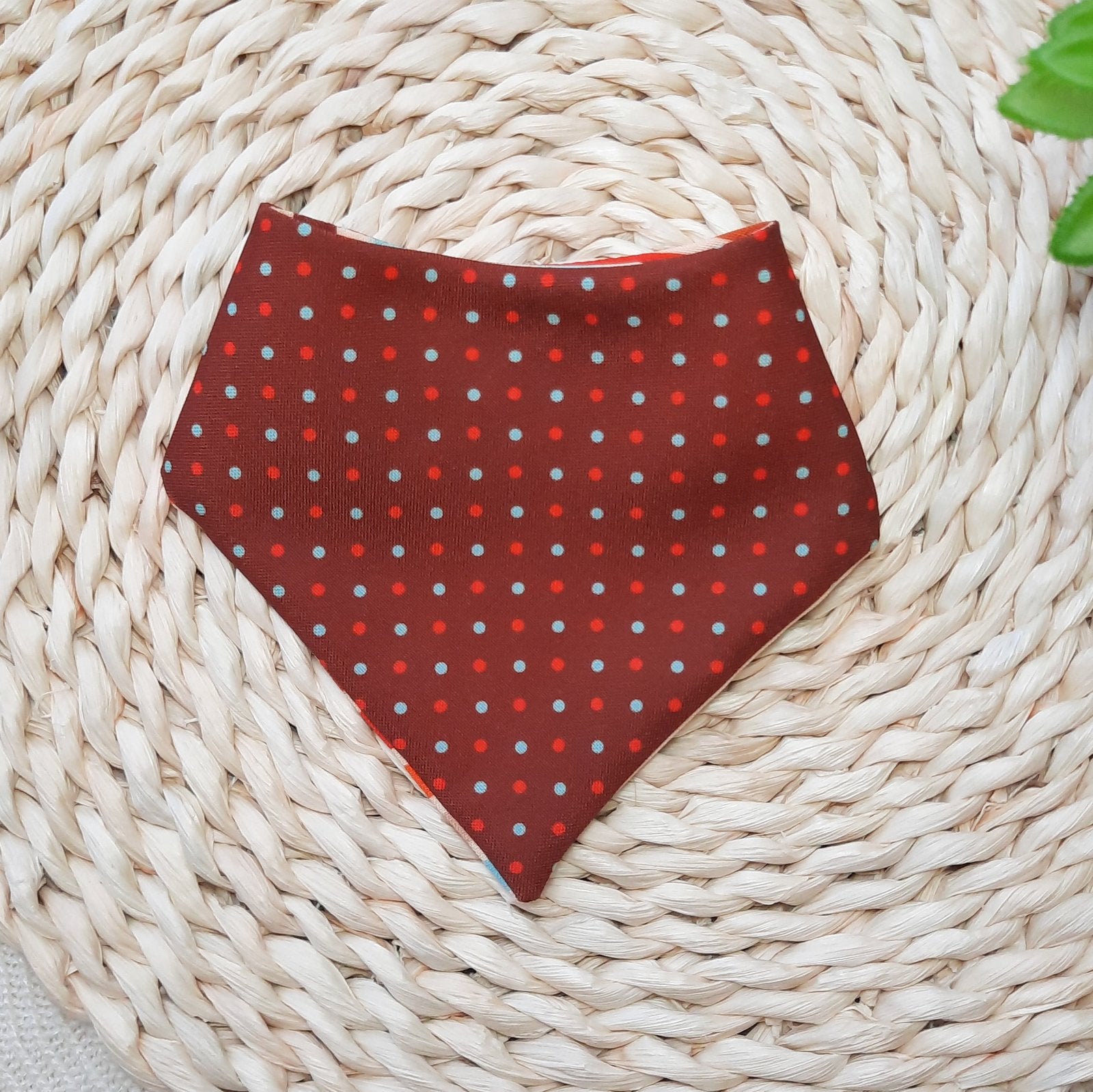 Bandana para Perro | Charlot