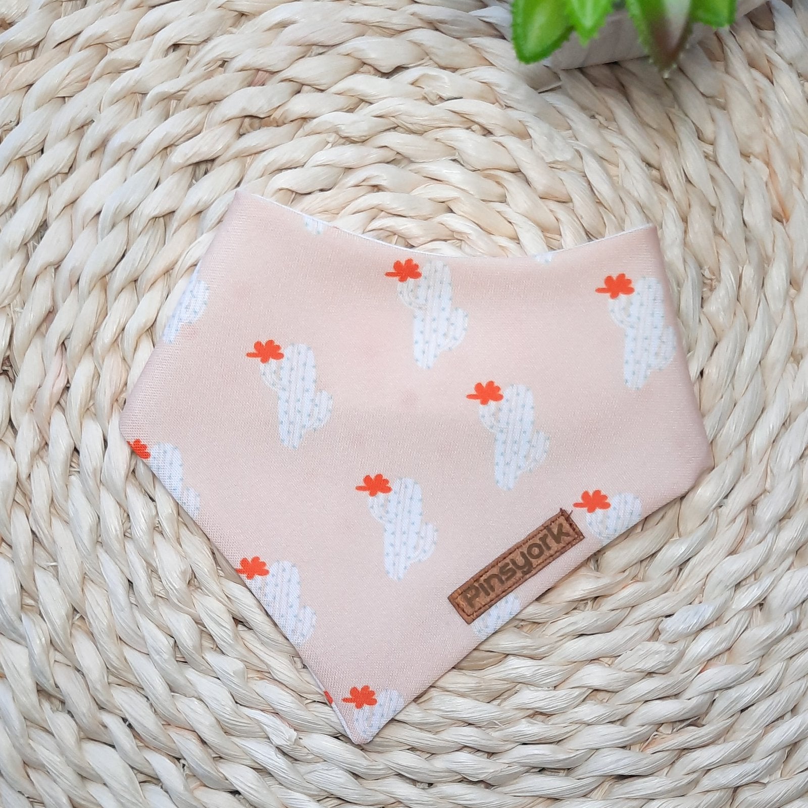 Bandana para Perro | Cactus