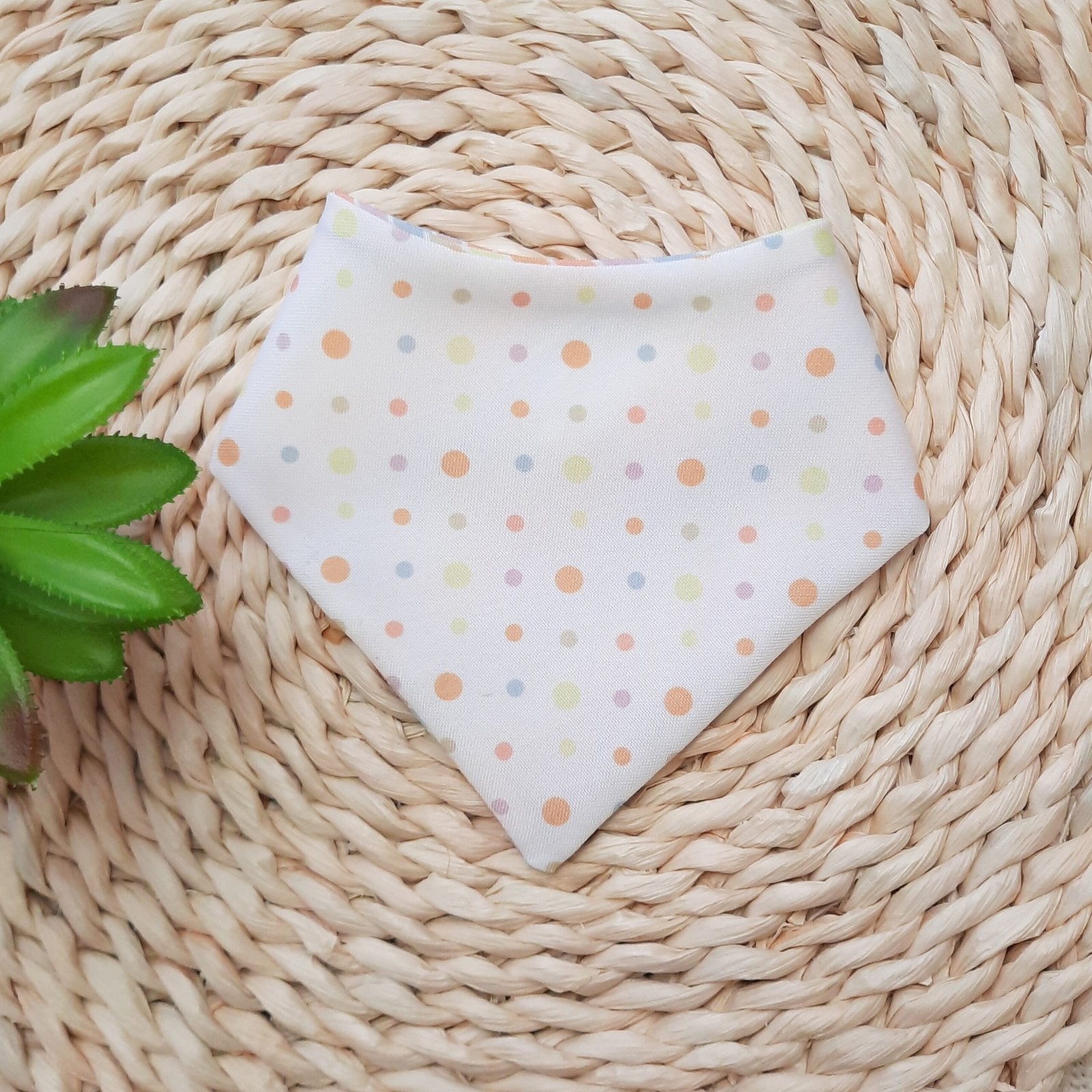 Bandana para Perro | Arcoiris