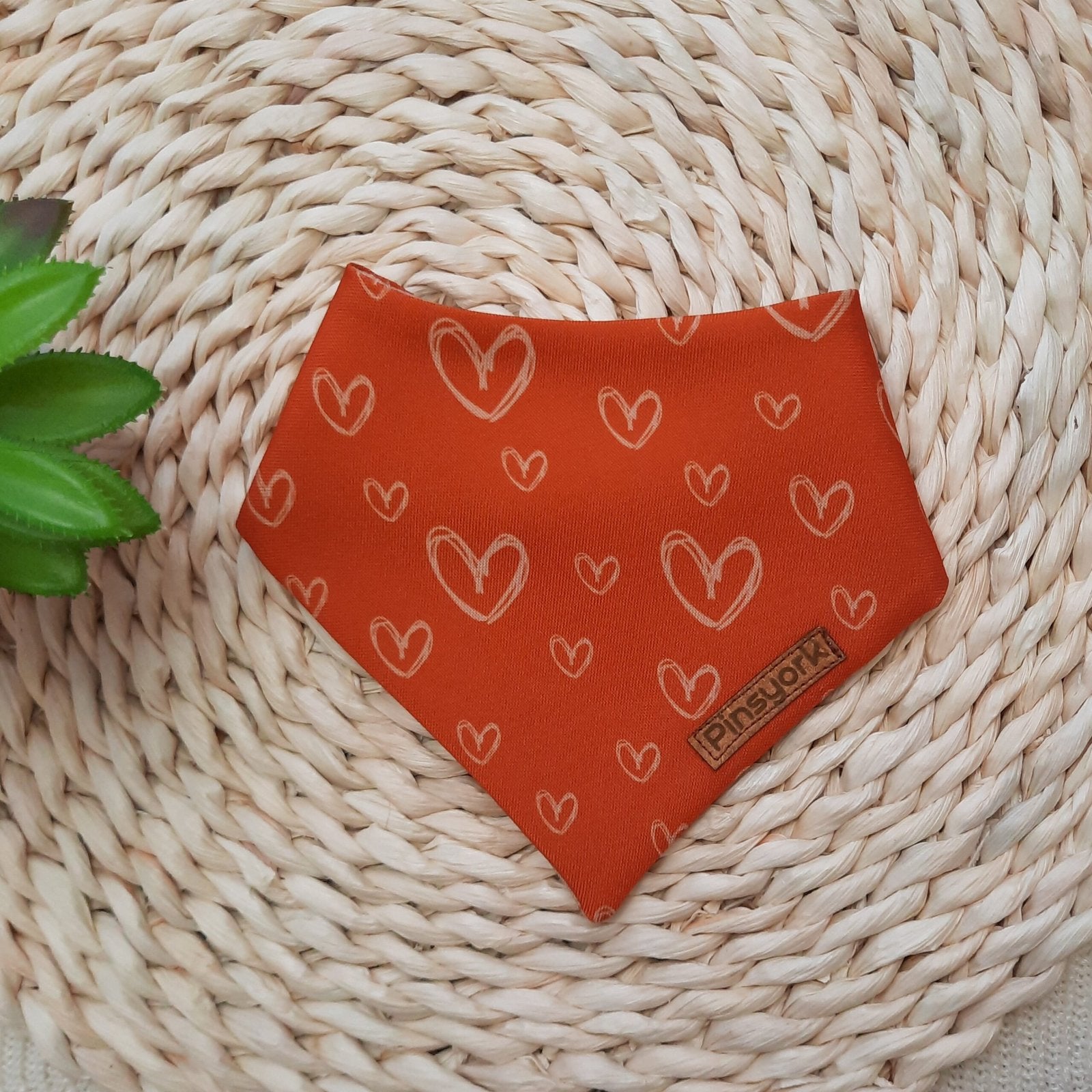 Bandana para Perro | Corazón