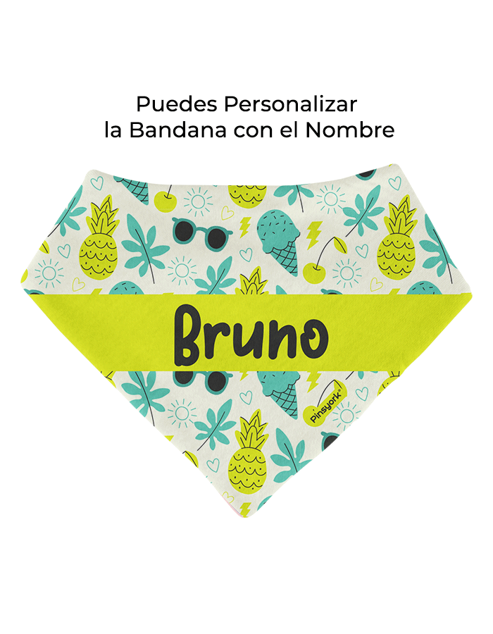 Bandana para Perro | Summer 1