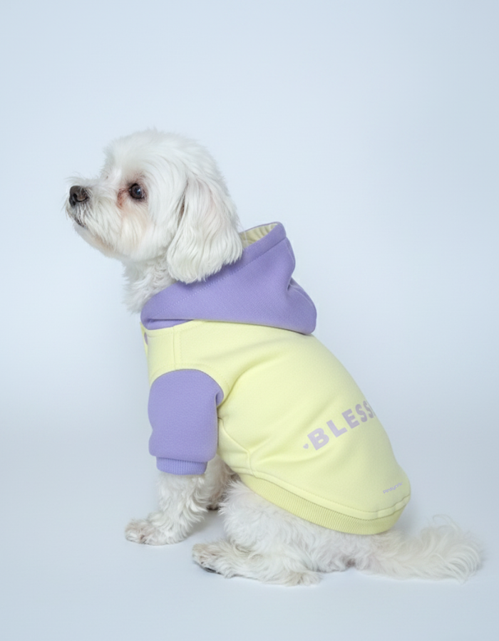 Polerón Blessing | Golden Bloom