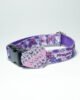 PLACA COLLAR e1718988249810