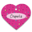 Placa ID Corazón con QR diseño RetroPet - Retro2