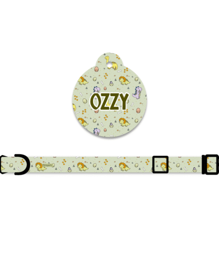 Collar + Placa ID Círculo Dino Baby