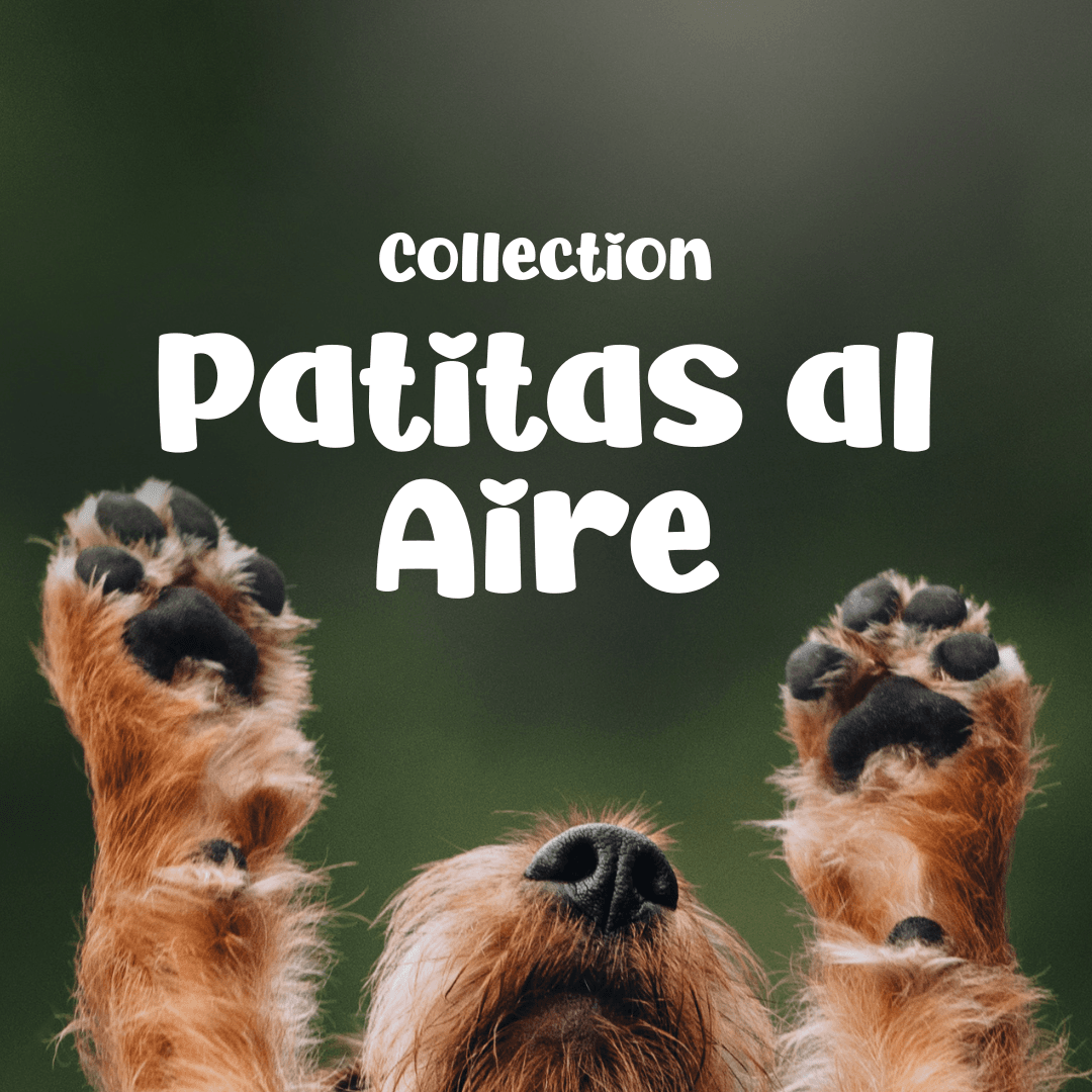 patitas al aire